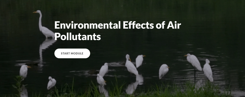 Image of birds in shallow water and the title of the module Environmental Effects of Air Pollution