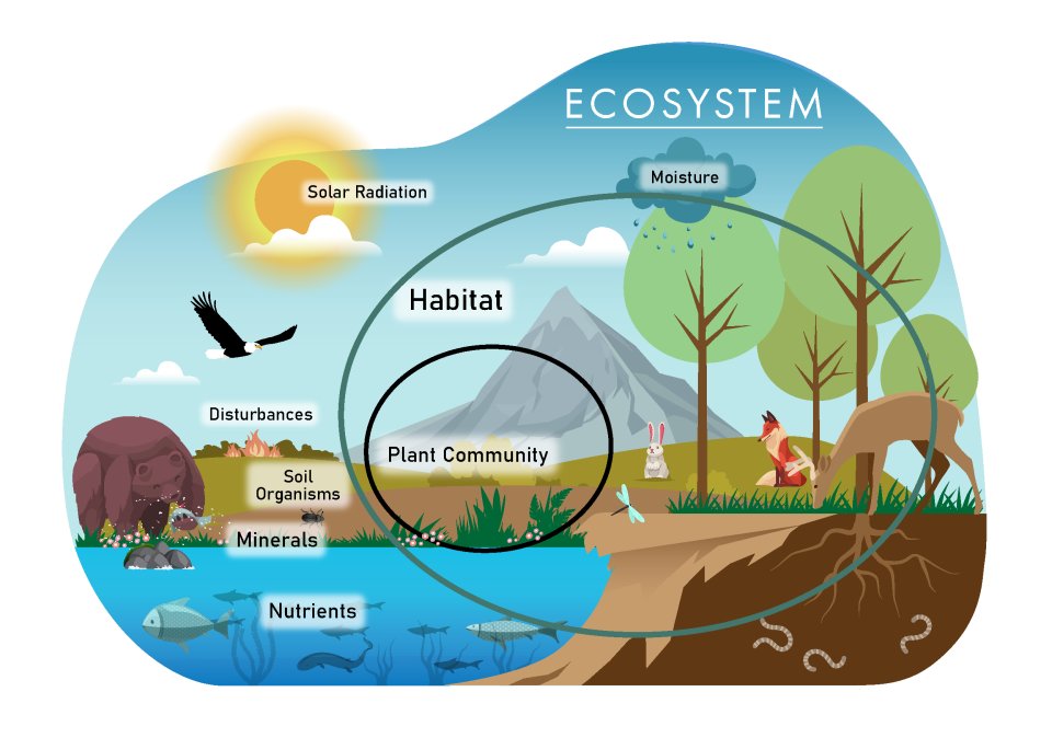Graphic depicting an "Ecosystem". "Plant community" is tufts of grass. "Habitat" is a mountain and forest landscape, including animals. "Moisture" is a rain cloud. "Solar radiation" is the sun. "Disturbances" is a wildfire. "Minerals" are soil at the shoreline of a body of water. "Nutrients" is fish in a body of water. "Soil organisms" is grass and dirt. 