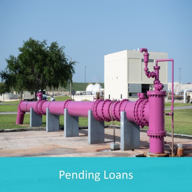 Learn about pending loans