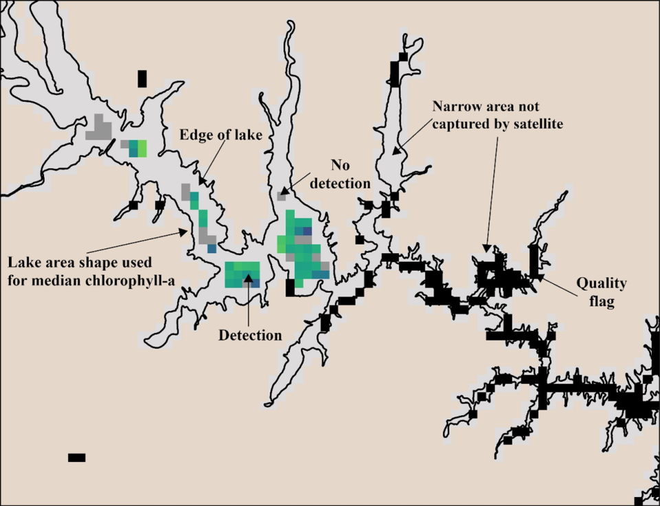 Example image from a CyAN lake showing the pixels captured by the satellite.