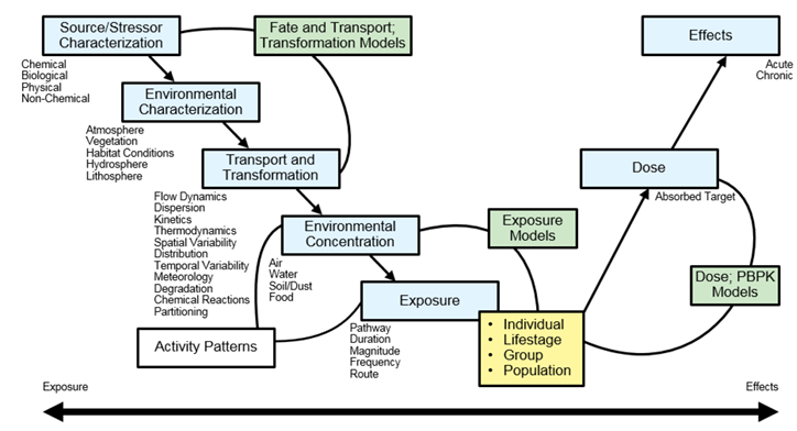 Flowchart with boxes indicating the processes and information important for exposure science