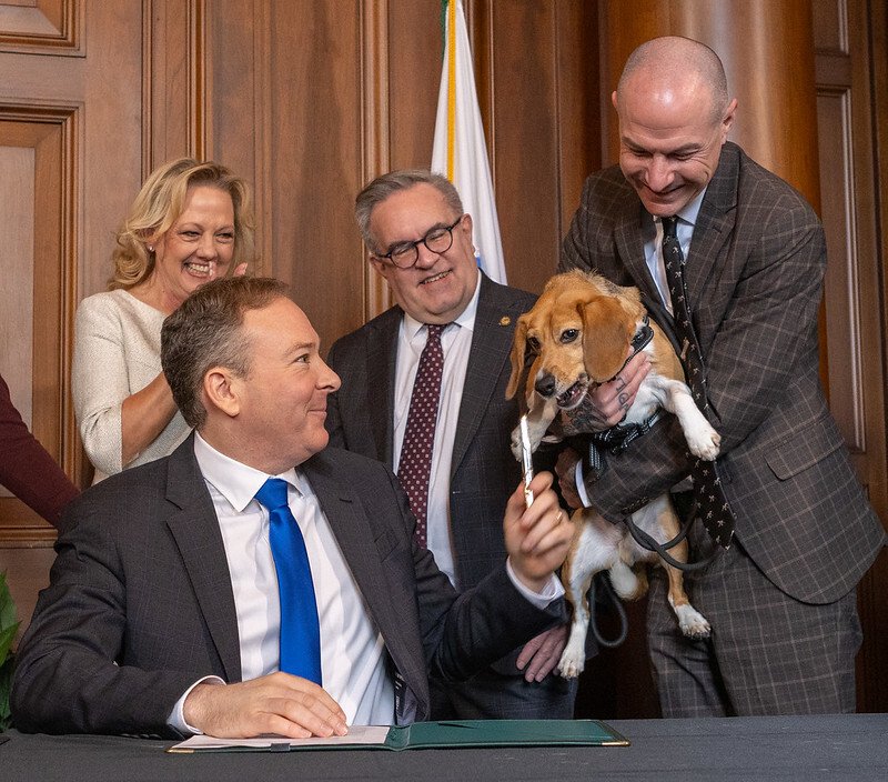 Animal testing to end by 2035