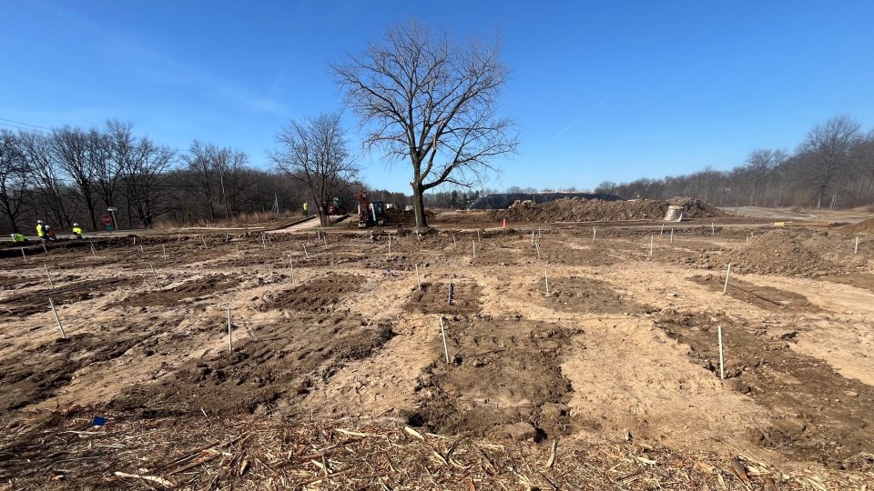A bare dirt field with sections marked by stakes in the ground.
