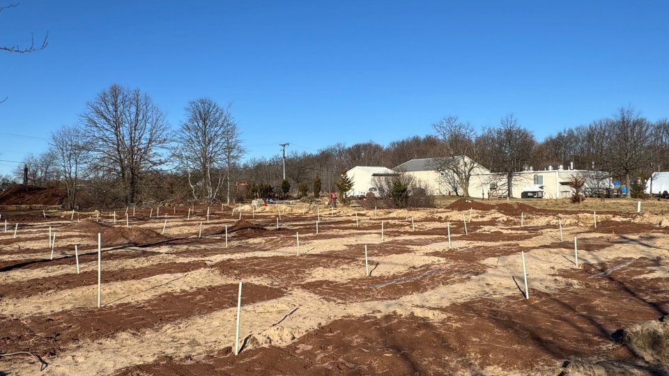 A field of covered trenches in a section of the test bed, with red-hued soil covering each rectangular trench, marked by white sticks.