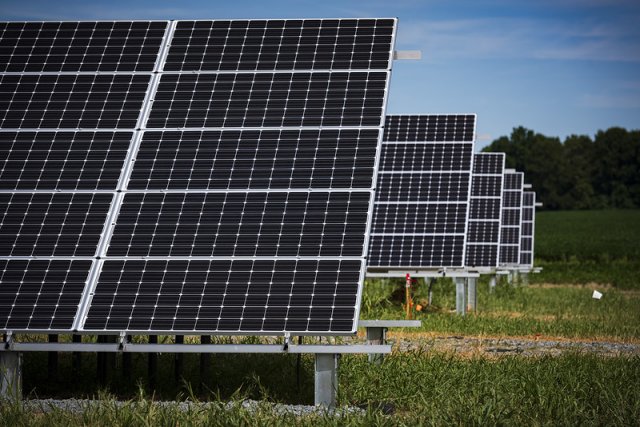 Image of solar panels lined up in a field