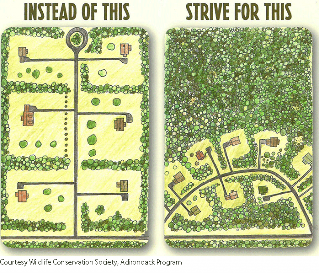 Illustration of preferred conservation development design (Courtesy of Wildlife Conservation Society, Adirondack Program)