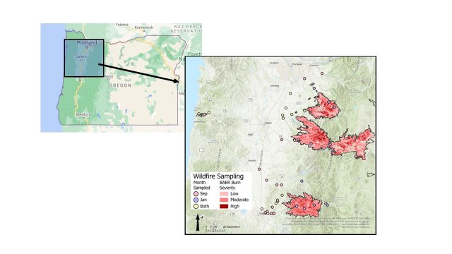 Map showing location of sampling sites in relation to fires in 2020