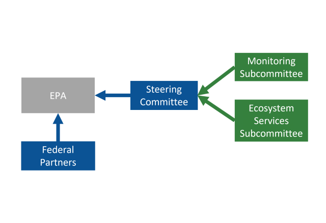 Organization of SNEP Committees and Subcommittees