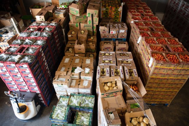 Overhead photo of boxes of food.