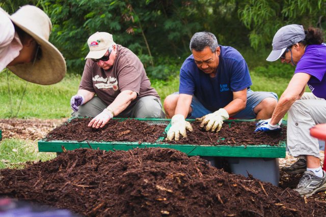 Group of volunteers tending to the compost in a garden.