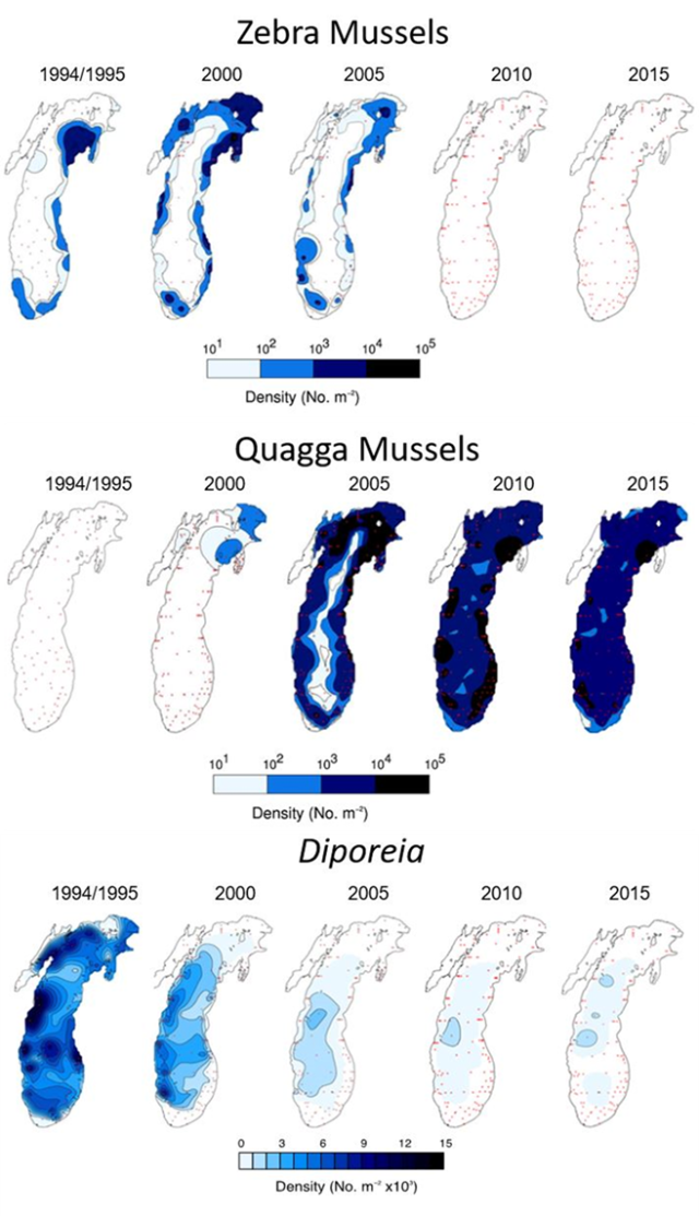 Zebra mussel, quagga mussels, and Diporeia (top to bottom) distribution (individuals/m2) in Lake Michigan during 1994-1995, 2000, 2005, 2010, 2015 (NOAA Technical Memorandum GLERL-175 EXIT).