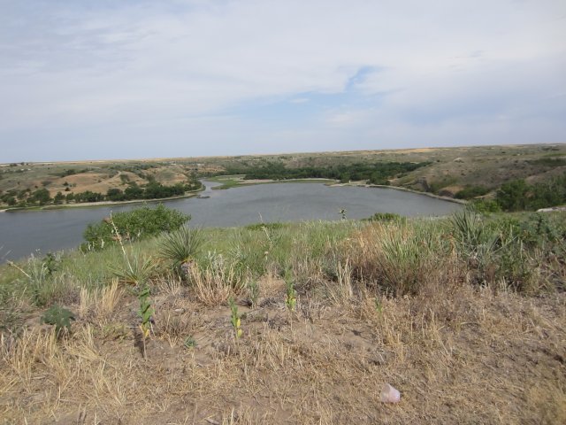 Lake in Kansas with grass