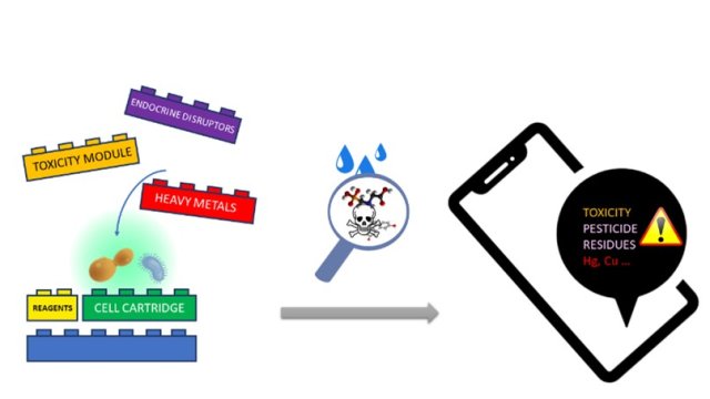 Winners of the Water Toxicity Sensor Challenge– Phase 1