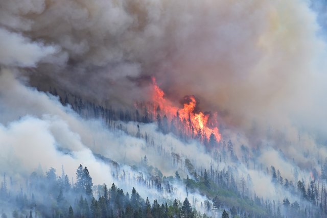 a wildfire spreads over a mountain