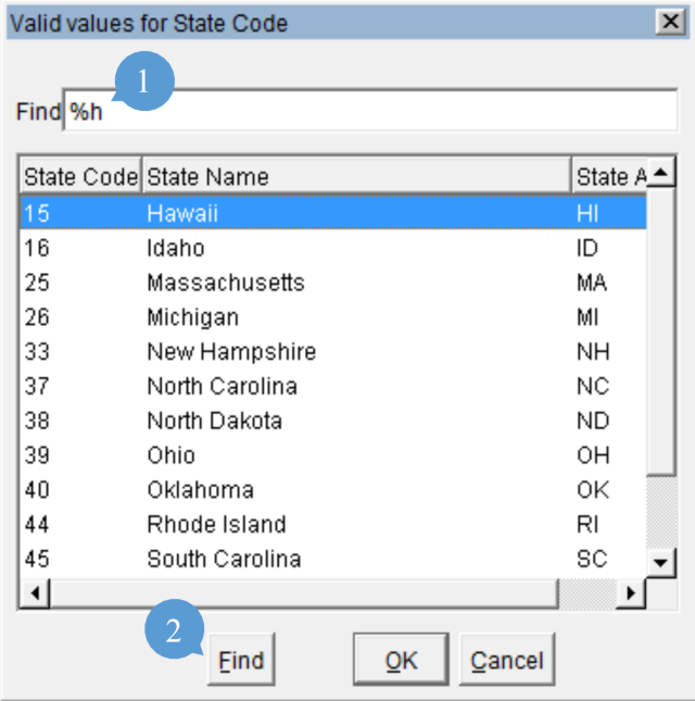 example of the wildcard search in the find function