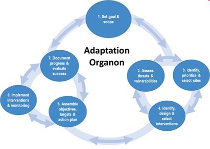 This diagram illustrates the iterative process of the adaptation organon.