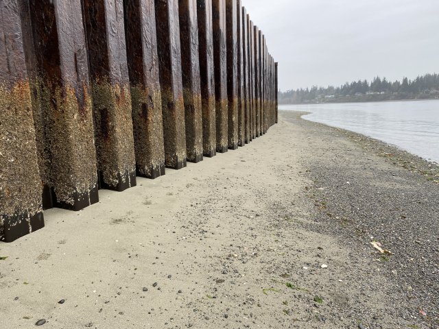 A portion of the "sheet pile" wall around the perimeter of the former Wyckoff facility.