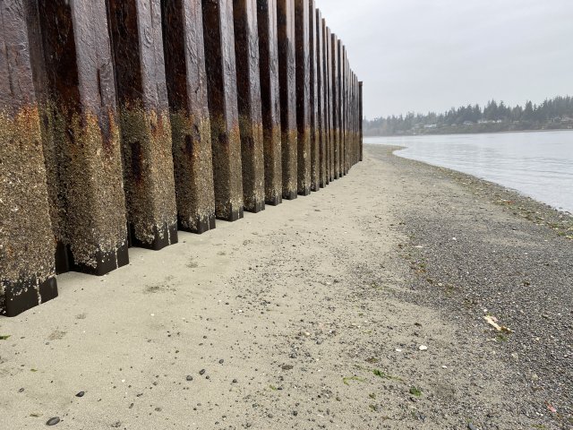 A portion of the "sheet pile" wall around the perimeter of the former Wyckoff facility.