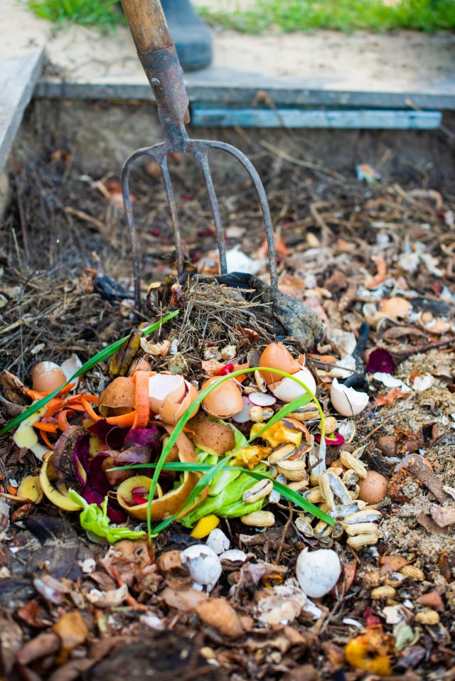 Composting At Home US EPA