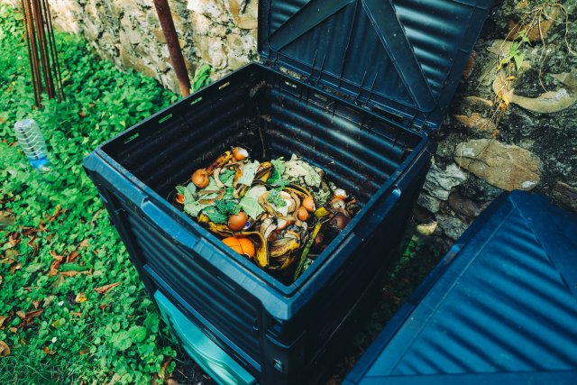 Composting At Home