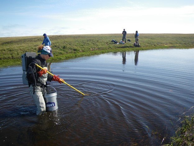 Artic Stream Assessment, NRSA 2013-14