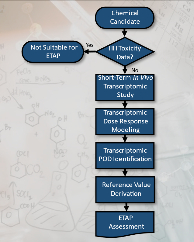 Flowchart with beginning with a Chemical Candidate. If there is no Human Health Toxicity Data, the Candidate is not suitable for ETAP. If there is Human Health Toxicity Data, there will be a Short-Term in vivo Transcriptomic Study, and after which, Transcriptomic Dose Response Modeling. There will then be Transcriptomic Point of Departure Identification, then Reference Value Derivation. Finally, an ETAP Assessment is formed.