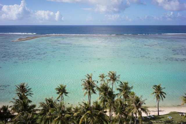 Beach in Guam with palm trees and clear, blue water.