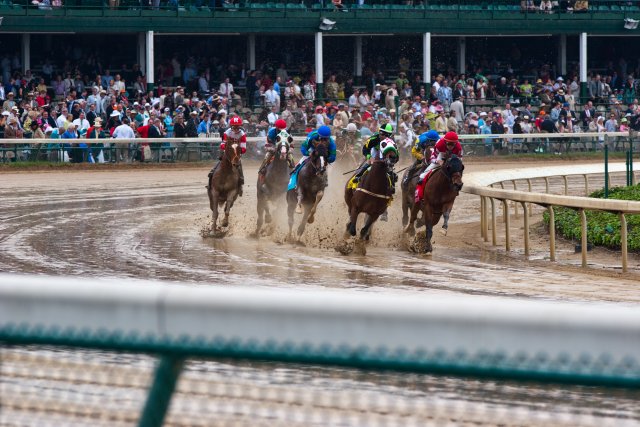 Five horses race around a wet track with a crowd watching.