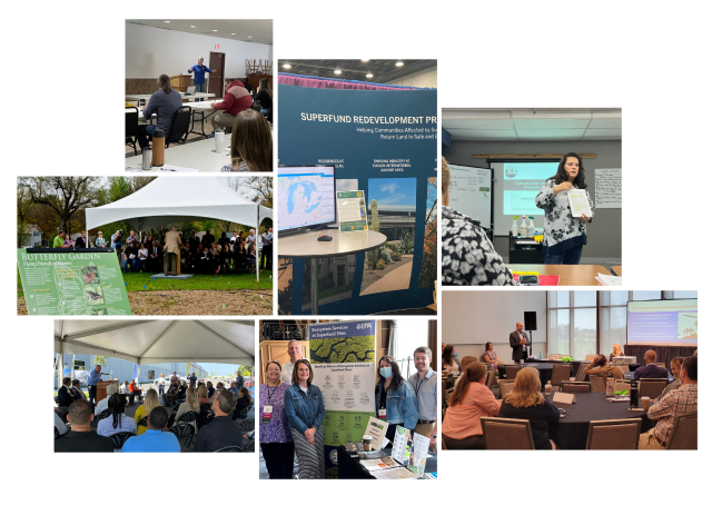 A collage of images showing people in trainings. 