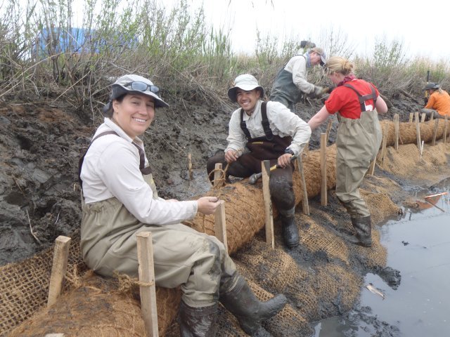 Researchers work on the bank of a waterbody