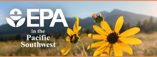 Closeup photograph of orange-yellow wild sunflowers with mountain range in background