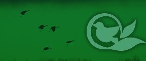 Icon for Ecosystems Climate Indicators