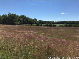 Vegetative cover installed at the site to prevent direct contact with contaminated soil. Vegetation also helps stabilizing soil underneath to prevent erosion from rain or snow melt.