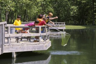 Group of children fishing from a dock, surrounded by trees and lake