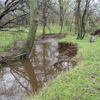 A sinkhole that is part of the aquifer study area. It fills up when there is a big rainfall event and then slowly drains out. Researchers are studying where the water goes.