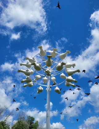 Purple martin structure and gourds, Beaver Island State Park, Niagara River.  Photo Credit:  Amy Roe