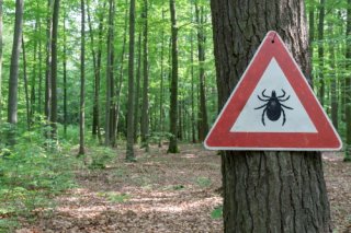 essay on human health Warning sign about ticks.