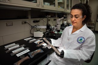 EPA research engineer, Simoni Triantafyllidou studying lead drinking water service line