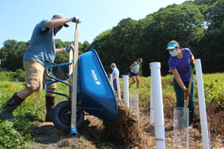 Project participants install a woodchip bioreactor in the cranberry bog to evaluate nitrogen removal.