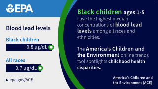 Black children ages 1-5 have the highest levels of median blood lead levels amongst all races and ethnicities. 