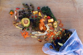 Photo of a trashcan turning over food waste products onto a wood floor