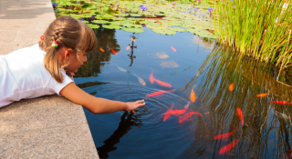 Girl looking into a pond