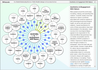 Raising awareness OneHealth graphic