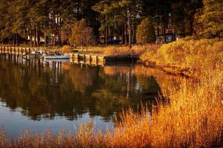 Image of dock on a lake surrounded by fall grass