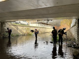 Crews looking for sheen in Leslie Run South of the Wastewater Treatment Plant