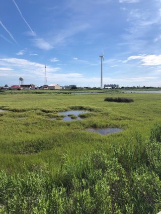 Image of a tidal marsh with a wind turbine, water tower, and buildings in the background.