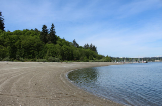 Photogaph of a beach with trees in the background