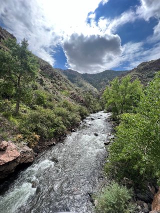 rushing river with greenery in canyon