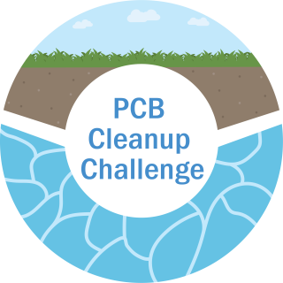 PCB Cleanup Challenge graphic identifier