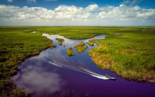 Aerial view of Everglades National Park wetlands with green vegetation and water.